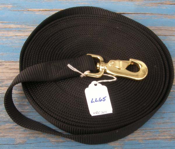 training equipment lunging